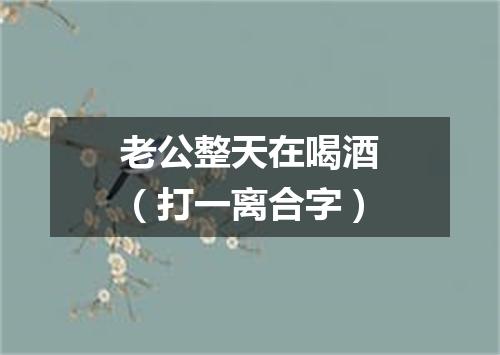 老公整天在喝酒（打一离合字）