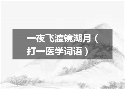 一夜飞渡镜湖月（打一医学词语）