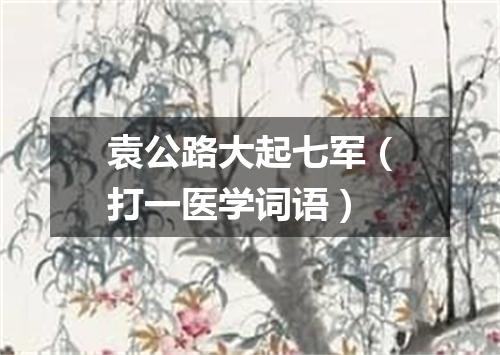 袁公路大起七军（打一医学词语）