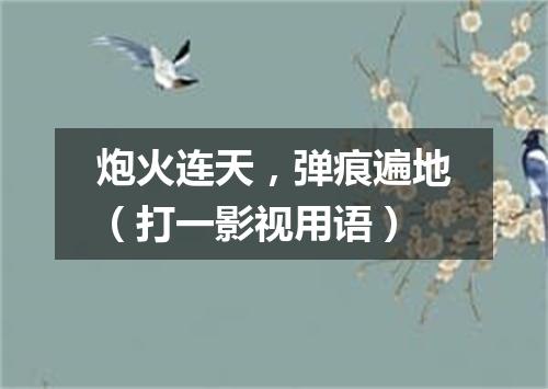 炮火连天，弹痕遍地（打一影视用语）