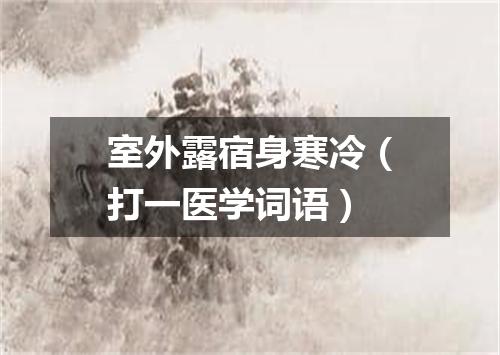 室外露宿身寒冷（打一医学词语）