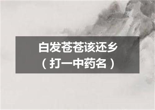 白发苍苍该还乡（打一中药名）