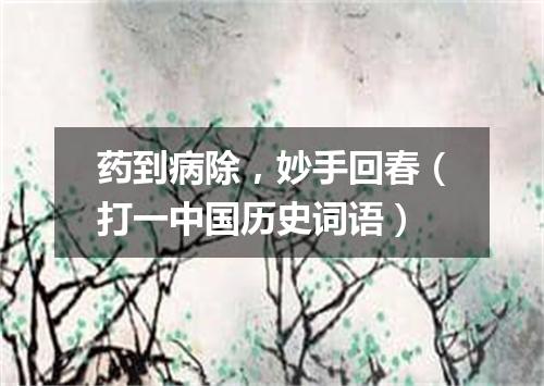 药到病除，妙手回春（打一中国历史词语）