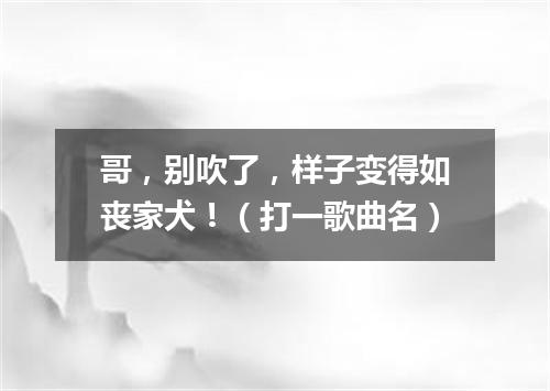 哥，别吹了，样子变得如丧家犬！（打一歌曲名）