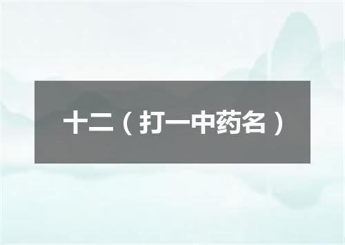 十二（打一中药名）