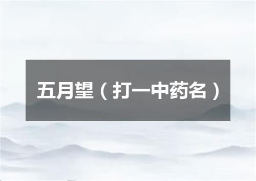 五月望（打一中药名）
