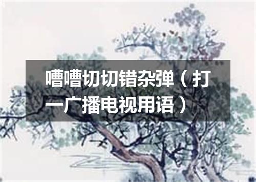 嘈嘈切切错杂弹（打一广播电视用语）