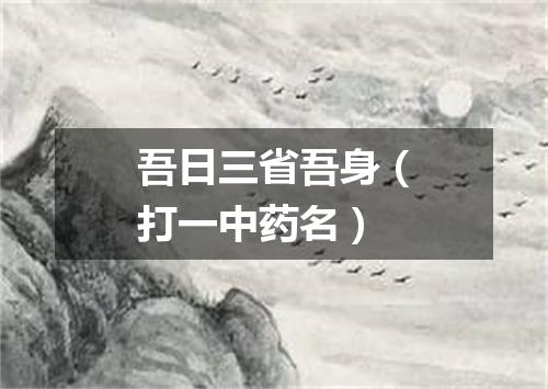吾日三省吾身（打一中药名）