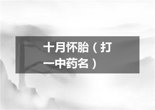 十月怀胎（打一中药名）