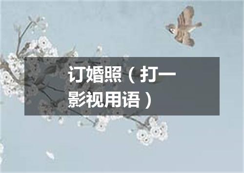 订婚照（打一影视用语）