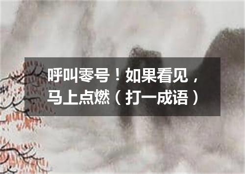 呼叫零号！如果看见，马上点燃（打一成语）