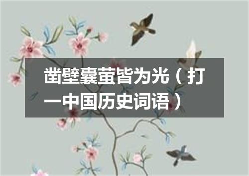 凿壁囊萤皆为光（打一中国历史词语）