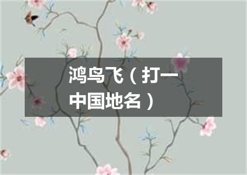 鸿鸟飞（打一中国地名）