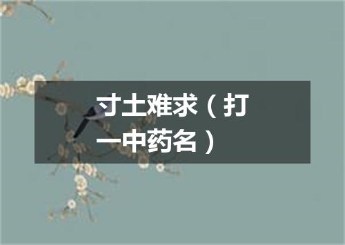 寸土难求（打一中药名）