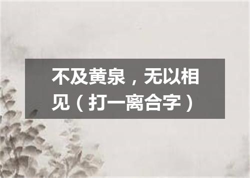 不及黄泉，无以相见（打一离合字）