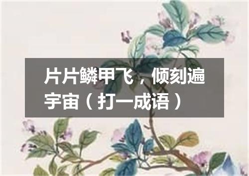 片片鳞甲飞，倾刻遍宇宙（打一成语）