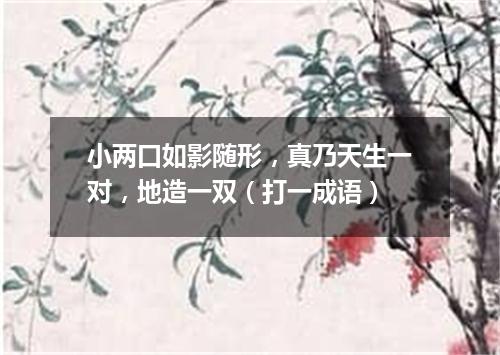 小两口如影随形，真乃天生一对，地造一双（打一成语）