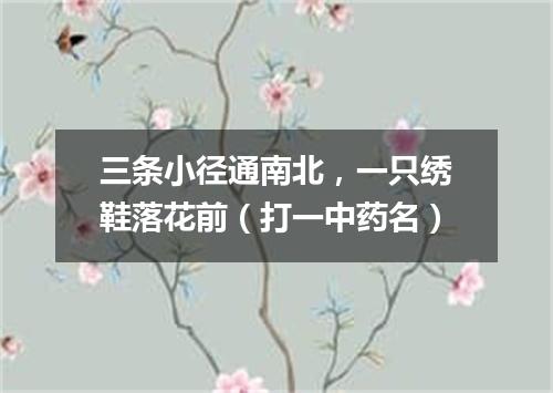 三条小径通南北，一只绣鞋落花前（打一中药名）