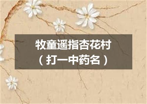 牧童遥指杏花村（打一中药名）