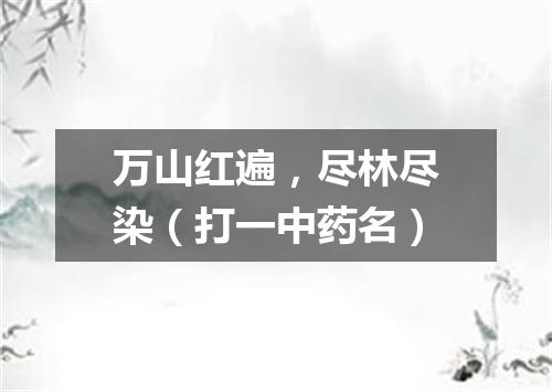 万山红遍，尽林尽染（打一中药名）