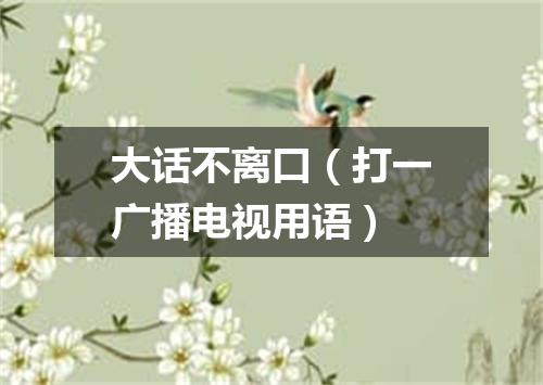 大话不离口（打一广播电视用语）
