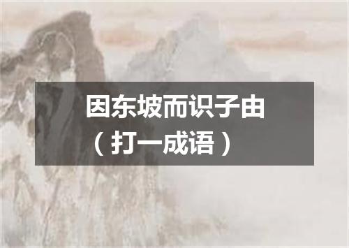 因东坡而识子由（打一成语）