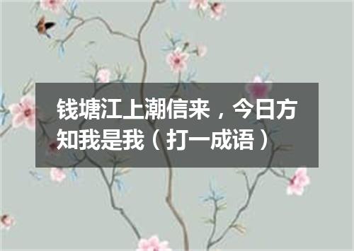 钱塘江上潮信来，今日方知我是我（打一成语）