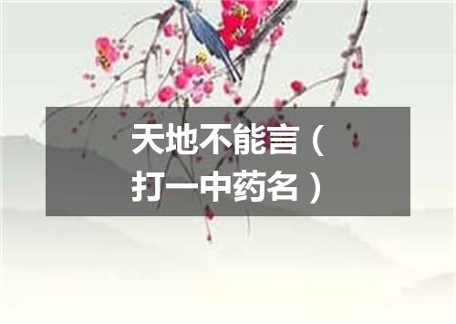 天地不能言（打一中药名）