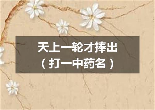 天上一轮才捧出（打一中药名）