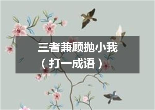 三者兼顾抛小我（打一成语）