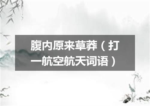 腹内原来草莽（打一航空航天词语）