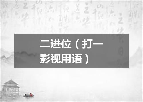 二进位（打一影视用语）
