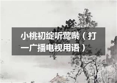 小桃初绽听莺啭（打一广播电视用语）