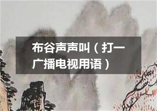 布谷声声叫（打一广播电视用语）