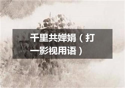 千里共婵娟（打一影视用语）