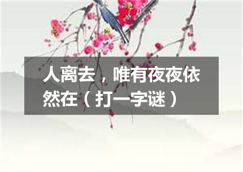 人离去，唯有夜夜依然在（打一字谜）