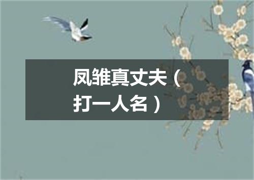 凤雏真丈夫（打一人名）