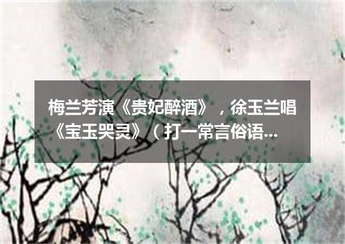 梅兰芳演《贵妃醉酒》，徐玉兰唱《宝玉哭灵》（打一常言俗语）
