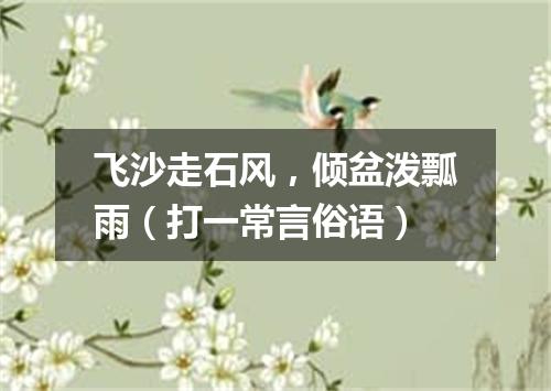 飞沙走石风，倾盆泼瓢雨（打一常言俗语）