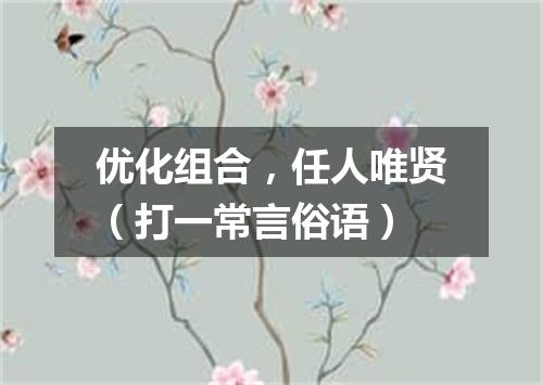 优化组合，任人唯贤（打一常言俗语）