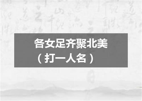 各女足齐聚北美（打一人名）