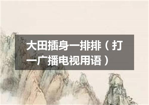 大田插身一排排（打一广播电视用语）