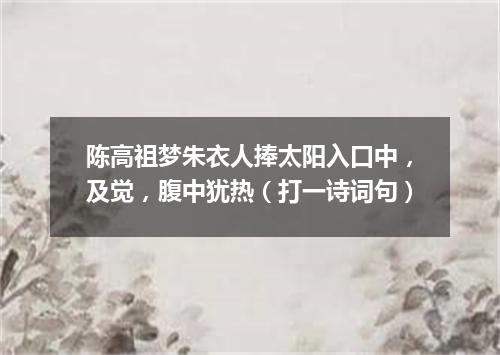 陈高祖梦朱衣人捧太阳入口中，及觉，腹中犹热（打一诗词句）