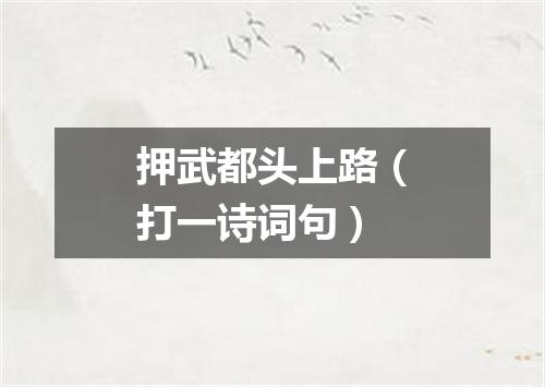 押武都头上路（打一诗词句）