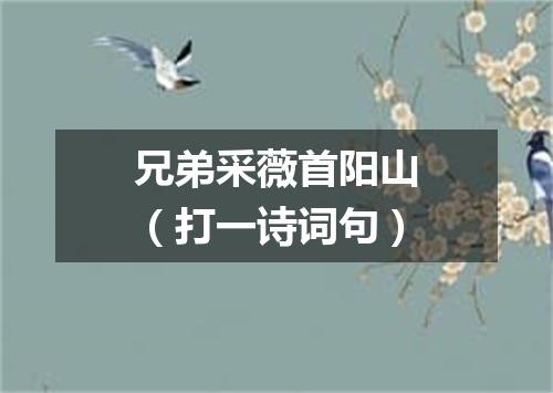 兄弟采薇首阳山（打一诗词句）