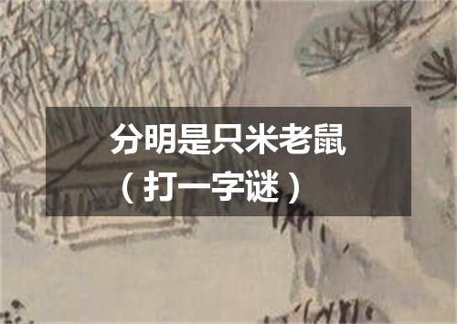 分明是只米老鼠（打一字谜）
