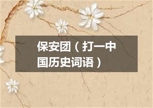 保安团（打一中国历史词语）