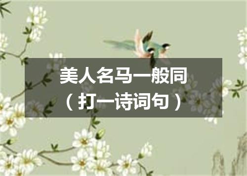美人名马一般同（打一诗词句）