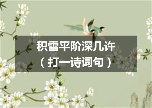 积雪平阶深几许（打一诗词句）