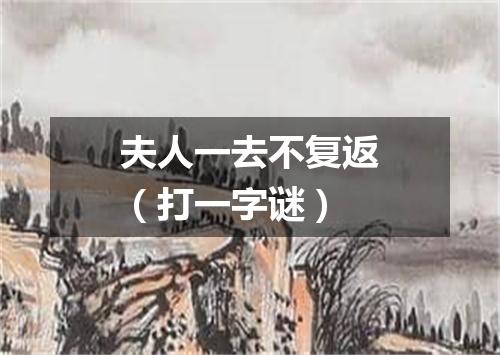 夫人一去不复返（打一字谜）